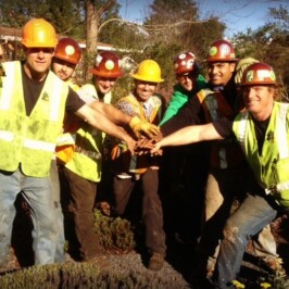 Who are the Sonoma-Marin Arborists?