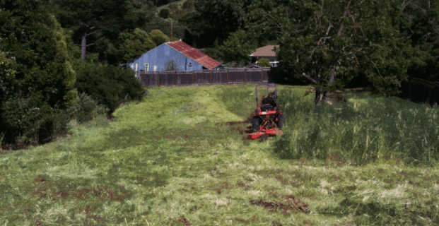 Tall Grass Mowing